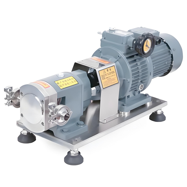 Twin-Lobe Rotary Pump for Biogas And Wastewater