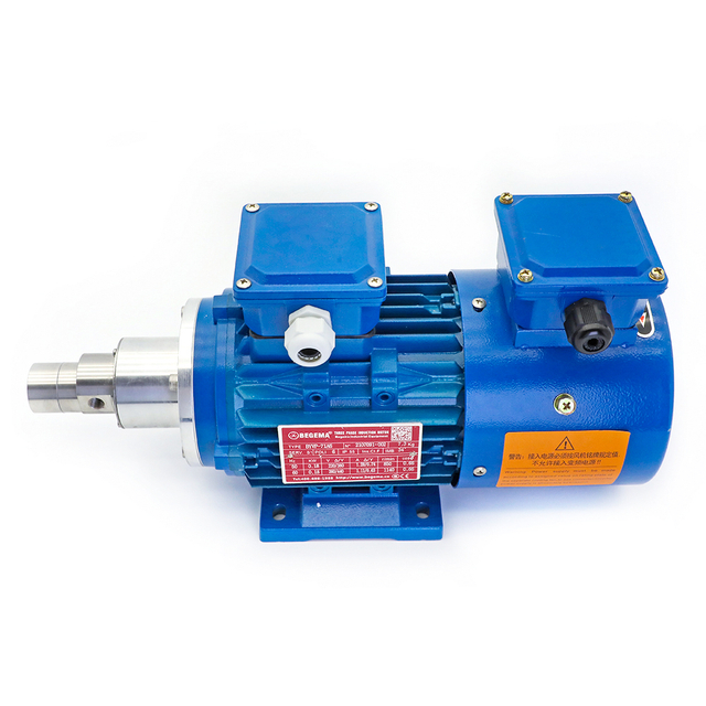 Micro Magnetic Gear Metering Pump With Explosion-proof Variable Frequency Motor