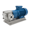 Sludge Transfer Rotary Lobe Pump