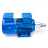 Micro Magnetic Gear Metering Pump With Explosion-proof Variable Frequency Motor