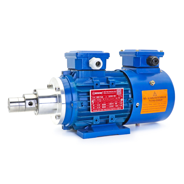 Micro Magnetic Gear Metering Pump With Explosion-proof Variable Frequency Motor