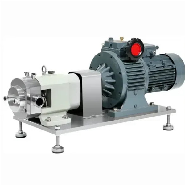 Why Is The Rotor Pump A Preferred Choice for Fluid Transfer?