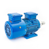 Micro Magnetic Gear Metering Pump With Explosion-proof Variable Frequency Motor