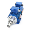 Micro Magnetic Gear Metering Pump With Explosion-proof Variable Frequency Motor