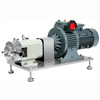 304 Stainless Steel Variable Frequency Speed Regulating Gear Rotor Pump
