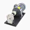Internal‑Engaged Gear Metering Pump, 0.3% Precision Volumetric Dosing Pump for Resin Catalyst Phenolic Hot Melt Adhesive`